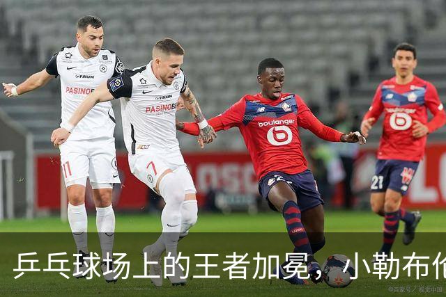 乒乓球场上的王者加冕，小勒布伦镀金成“乒乓童话”！